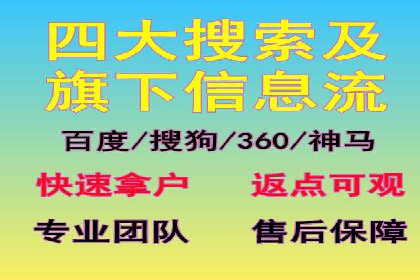 网站sem托管案例分享：如何精准投放广告